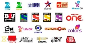 Dth setup box free channel in india