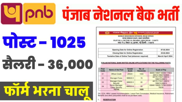 punjnational bank bharti 2024